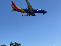 -In-N-Out Burger(LAX)