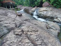 -广州白江湖森林公园