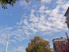 -上海吴淞炮台湾国家湿地公园