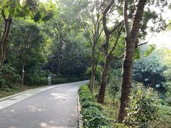 -云溪植物园