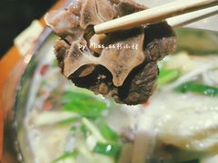 滋补羊蝎子锅-庄老幺火锅(娄山关路店)