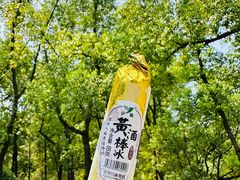 -绍兴东湖风景区