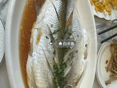 -蟹天蟹地农家菜·阳澄湖大闸蟹(浅水湾店)