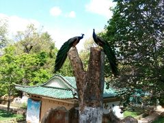 -昆明动物园