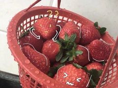-武汉武昌威斯汀酒店-知味自助餐厅