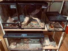 -Rabbit Cafe私房西餐甜点咖啡(栖霞路店)