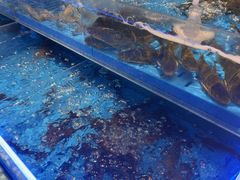 -海底捞火锅(长宁路龙之梦店)