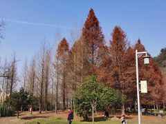 -贵阳市花溪国家城市湿地公园