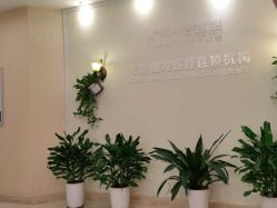 -碧莲盛·不剃发植发