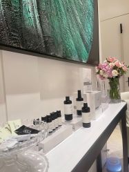 -奥斯芬·欧系贵族SPA