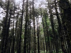 -石棉县孟获城