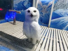 -成都浩海立方海洋公园