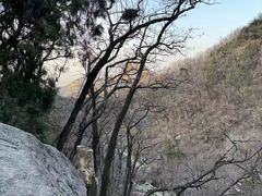 -泰山风景名胜区