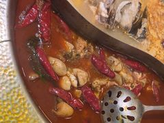 -麻田会 ·鲜活现烹·牛蛙火锅(珠江新城维家思广场店)