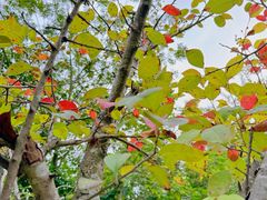 -白鹭湾湿地公园