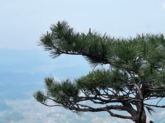 -萍乡武功山风景名胜区