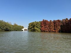 -上海海湾国家森林公园