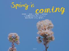 -樱桃山旅游景区