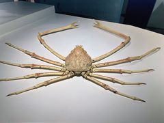 -中国湿地博物馆