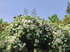 -廊坊文化艺术中心