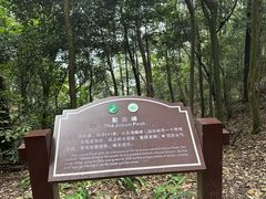 -缙云山景区