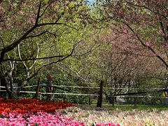 -国家植物园南园