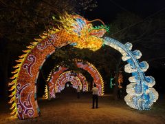 -洛阳市隋唐城遗址植物园