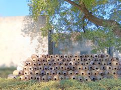 -中国黄酒博物馆