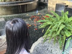 -成都世纪城天堂洲际大饭店