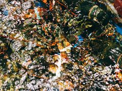 -徐记海鲜(梅溪新天地店)