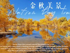 -金塔沙漠胡杨林景区