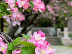 -苏州上方山国家森林公园