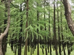-尚湖风景区