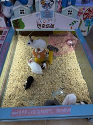 -万达宝贝王(长春红旗街店)