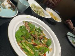 -唐猫庭院·千年陕菜(赛格国际购物中心店)