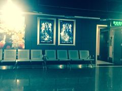 -奥斯卡国际影城(杜比全景声&4D激光店)