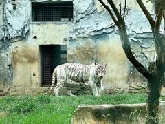 -黔灵山公园
