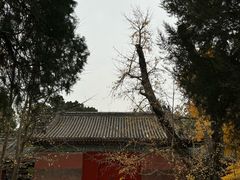-承恩寺