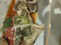 清蒸珍珠斑-围龙屋客家食府(福田店)