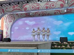 -荷兰花海