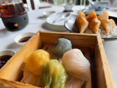 四色水晶鲜虾饺-侨美·唐荔园·40年地道粤菜