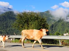 -硗碛藏寨·神木垒景区