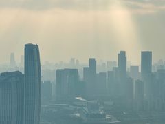 -南山植物园