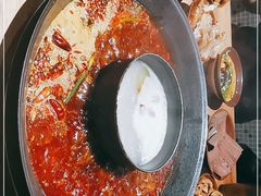 -楠火锅(龙阳广场店)