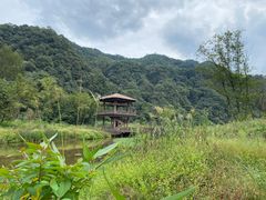 -五泄景区
