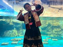 -海合安武汉极地海洋公园