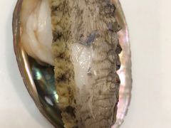 -宾朋海鲜美食餐厅·特色美食(兴海路店)