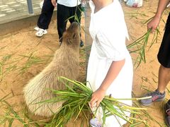 -西霞口神雕山野生动物世界