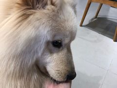 -肆兮眼镜·蔡司·徕卡战略合作店(大坪店)