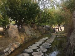 -沂蒙云瀑洞天景区